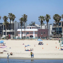 Отель Venice on the Beach Hotel США, Лос-Анджелес - отзывы, цены и фото номеров - забронировать отель Venice on the Beach Hotel онлайн пляж