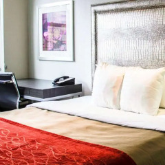 Отель Comfort Inn Midtown West детские мероприятия
