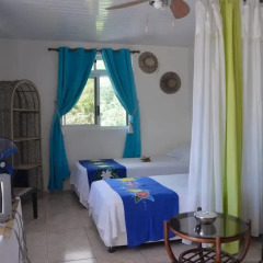 Отель Bora Vaite Lodge Французская Полинезия, Бора-Бора - отзывы, цены и фото номеров - забронировать отель Bora Vaite Lodge онлайн комната для гостей фото 4