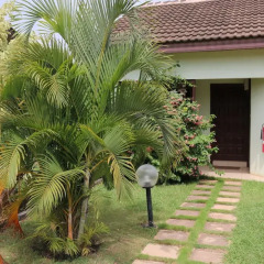Отель Travellers Palm Court фото 5