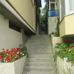 Апартаменты Apartment Vinogradny Sad Сочи фото 2