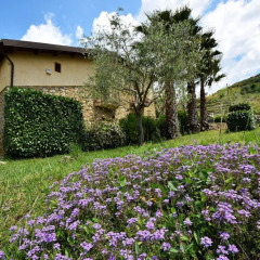 Отель B&B Giucalem - La Casa Negli Orti Пьяцца-Армерина фото 10