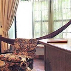 Отель Trocadero Suites в номере