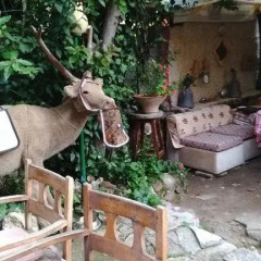 Sempati Motel Турция, Сиде - отзывы, цены и фото номеров - забронировать отель Sempati Motel онлайн фото 11