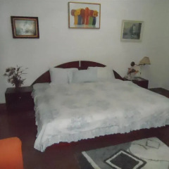 Pink Panther Hotel Kumasi комната для гостей фото 2