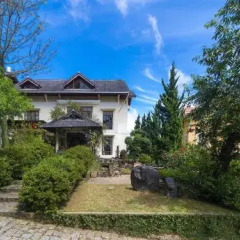 Отель BICH DAO Boutique - Dalat Вьетнам, Далат - отзывы, цены и фото номеров - забронировать отель BICH DAO Boutique - Dalat онлайн фото 8