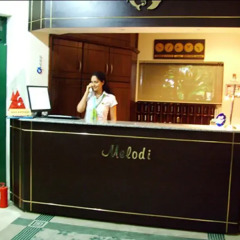 Melodi Hotel интерьер отеля фото 3