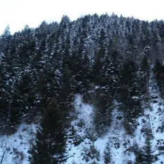 Uzungol Onder Hotel & Spa Турция, Узунгёль - отзывы, цены и фото номеров - забронировать отель Uzungol Onder Hotel & Spa онлайн
