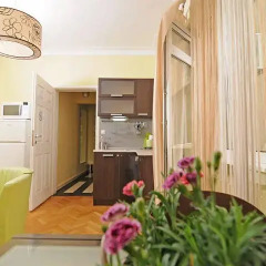 Апартаменты Liza Apartment интерьер отеля