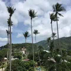 Отель Private lodge beachside Lamai Samui Таиланд, Самуи - отзывы, цены и фото номеров - забронировать отель Private lodge beachside Lamai Samui онлайн