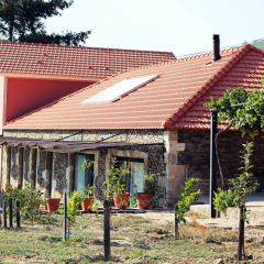 Отель Quinta da Pitarrela Португалия, Пезу-да-Регуа - отзывы, цены и фото номеров - забронировать отель Quinta da Pitarrela онлайн