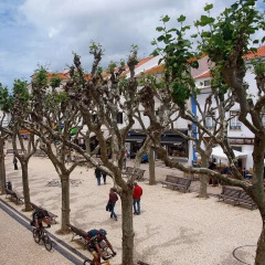 Отель Ericeira at Home спортивное сооружение