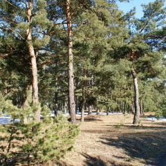 Апартаменты IRS ROYAL APARTMENTS Apartamenty IRS Neptun Park фото 4