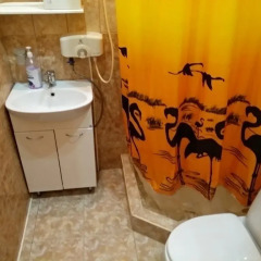 Apart hotel Svetlana ванная