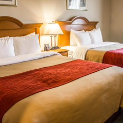 Отель Comfort Inn JFK Airport США, Нью-Йорк - 1 отзыв об отеле, цены и фото номеров - забронировать отель Comfort Inn JFK Airport онлайн комната для гостей фото 3
