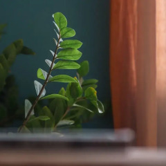 Отель Satori Homestay Entire House гостиничный бар