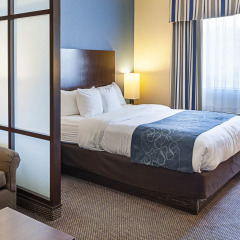 Comfort Suites Airport North Hotel In San Antonio United States
