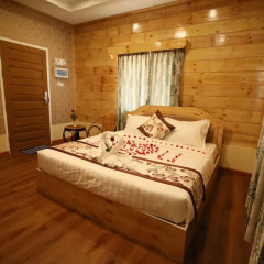 Golden Princess Hotel комната для гостей фото 4