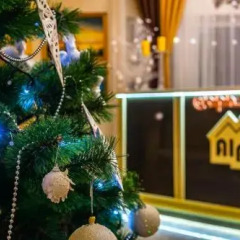Гостиница Alpin Hotel Украина, Буковель - отзывы, цены и фото номеров - забронировать гостиницу Alpin Hotel онлайн с домашними животными