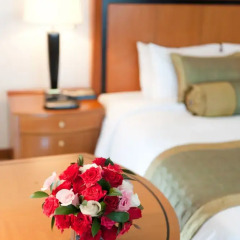 Отель Hôtel du Parc Hanoi Ханой в номере фото 2