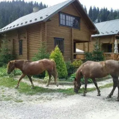 Hotel Khatky Ruslany с домашними животными