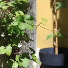 Grapes & Bites - Hostel And Wines Лиссабон фото 4
