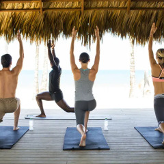 Отель Excellence El Carmen - Adults Only Доминикана, Пунта Кана - отзывы, цены и фото номеров - забронировать отель Excellence El Carmen - Adults Only онлайн фитнесс-зал