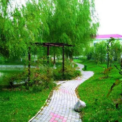 Отель Xinxiang Hotspring Conference Center