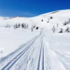 Отель Hovda Fjellhotell спортивное сооружение