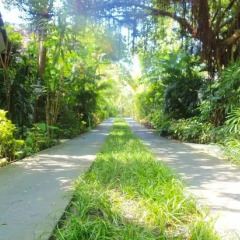 Отель Eden Beach Villas Самуи фото 4