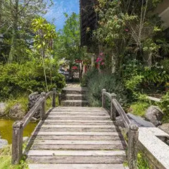 Отель BICH DAO Boutique - Dalat Вьетнам, Далат - отзывы, цены и фото номеров - забронировать отель BICH DAO Boutique - Dalat онлайн приотельная территория