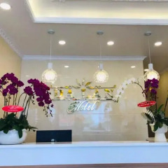 Отель Da Lan Hotel Вьетнам, Далат - отзывы, цены и фото номеров - забронировать отель Da Lan Hotel онлайн интерьер отеля фото 3