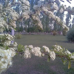Отель Villa Ciruelos Сан-Рафаэль приотельная территория