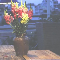 Dalat Note Hostel Далат помещение для мероприятий