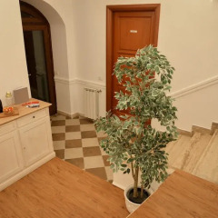 Отель Cimarra Chiara интерьер отеля