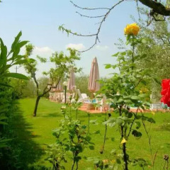 Отель Villa Il Crocicchio Реггелло фото 7