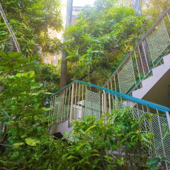 Отель Caribic House Hotel Ямайка, Монтего-Бей - отзывы, цены и фото номеров - забронировать отель Caribic House Hotel онлайн балкон