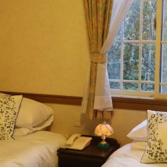Отель Resort Inn White Silver Хакуба комната для гостей фото 4