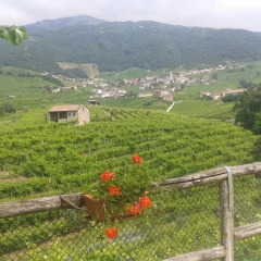 Отель La Casa Vecchia Вальдоббьадене фото 6