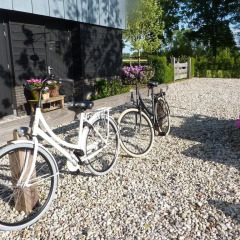 Отель Landgoed Emelaar Lodge спортивное сооружение
