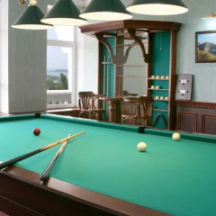 Dolphin Hotel гостиничный бар