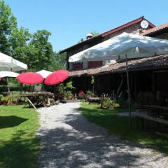 Отель Agriturismo Il Cammino Палаццоло-делло-Стелла фото 5