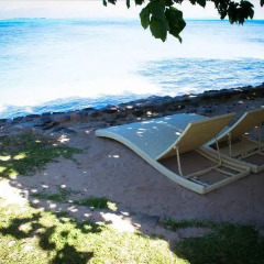 Отель Pension Fare Aute Французская Полинезия, Папеэте - отзывы, цены и фото номеров - забронировать отель Pension Fare Aute онлайн пляж фото 2