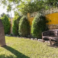 Отель Casa Verde Oliva Costa Blanca Испания, Олива - отзывы, цены и фото номеров - забронировать отель Casa Verde Oliva Costa Blanca онлайн фото 2