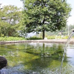 Отель Casa da Quinta da Calçada Португалия, Синфайнш - отзывы, цены и фото номеров - забронировать отель Casa da Quinta da Calçada онлайн фото 8