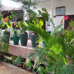 Отель Sanoga Holiday Resort