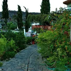St. Nicholas Pension Турция, Патара - отзывы, цены и фото номеров - забронировать отель St. Nicholas Pension онлайн фото 2