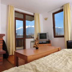 Апартаменты Four Leaf Clover Apartments Банско комната для гостей фото 5