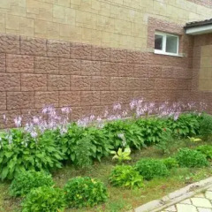 Гостиница Гостевои Дом Неолит в Рыбинске отзывы, цены и фото номеров - забронировать гостиницу Гостевои Дом Неолит онлайн Рыбинск фото 4
