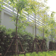 Utd Apartments Sukhumvit Hotel & Residence Бангкок фото 4